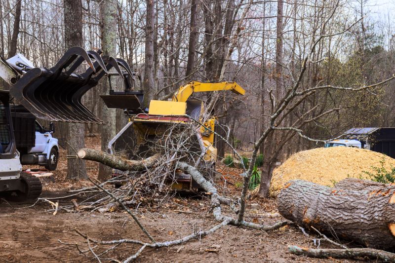 Tree Removal Equipment