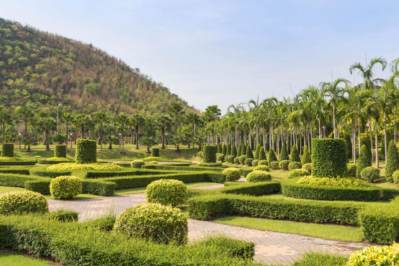 Post-Trimming Landscape